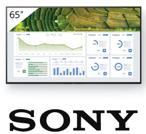 Sony FW-65BZ30L Digital signage